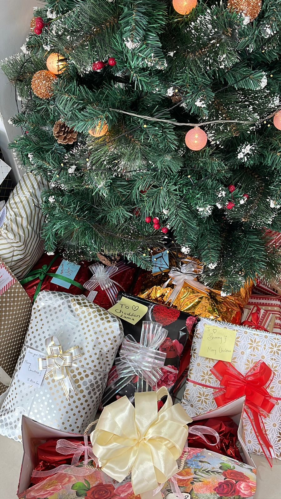 Celebrating Christmas with the Pari Cosmetics Family